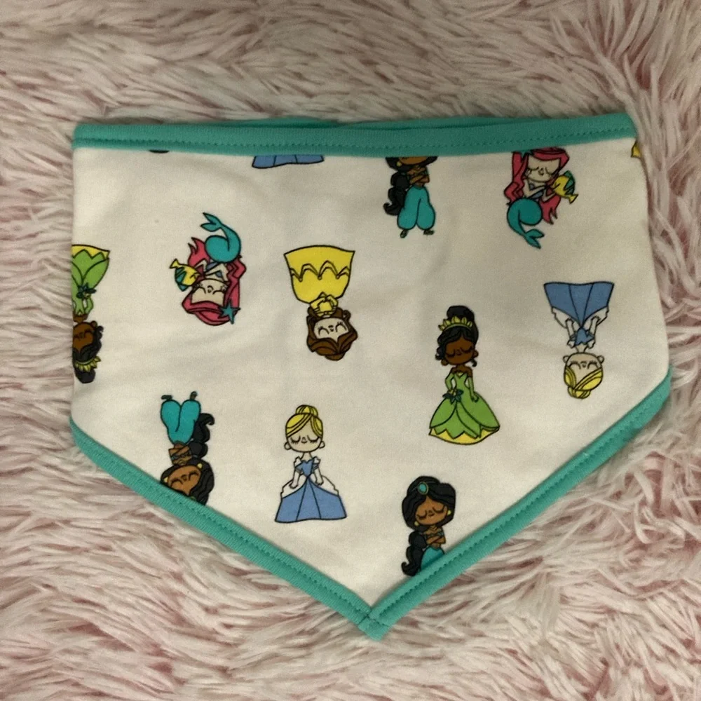Disney Princess Bibs (6 pack)